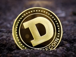 Zasto se Dogecoin razvija u sadasnjosti?